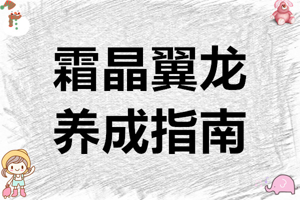 云上城之歌霜晶翼龙养成指南