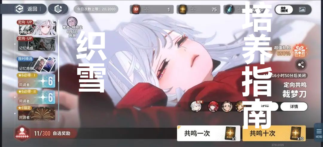 白荆回廊古剑奇谭织雪培养指南