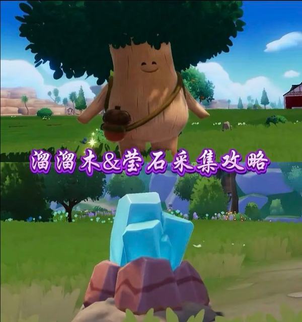 8.5心动小镇溜溜橡木和无暇荧石位置