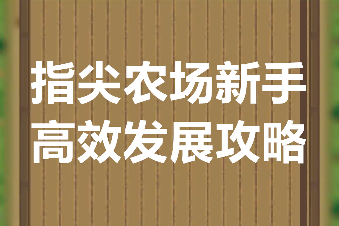 指尖农场新手高效发展攻略