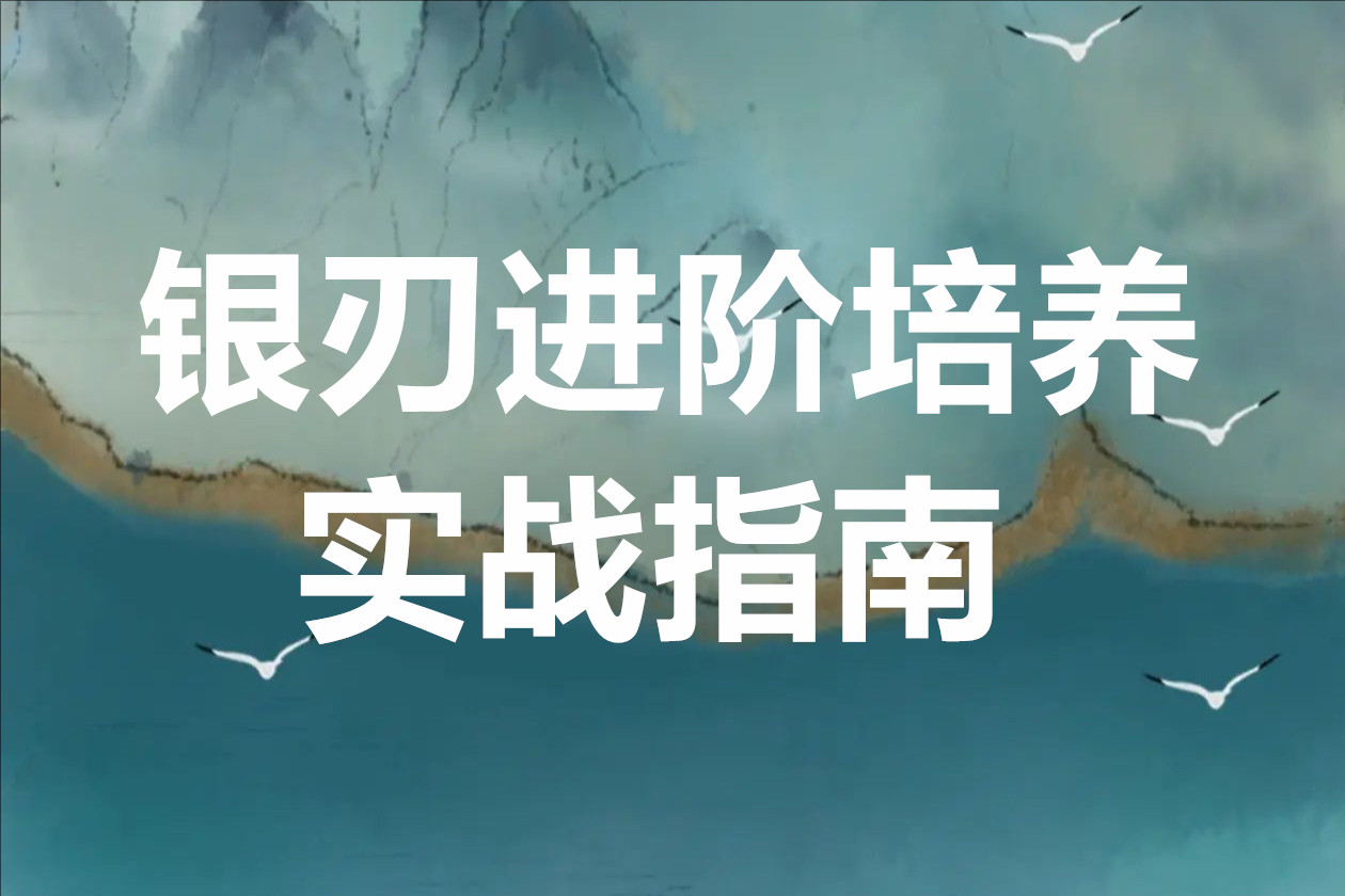 魔法之路银刃进阶培养与实战指南