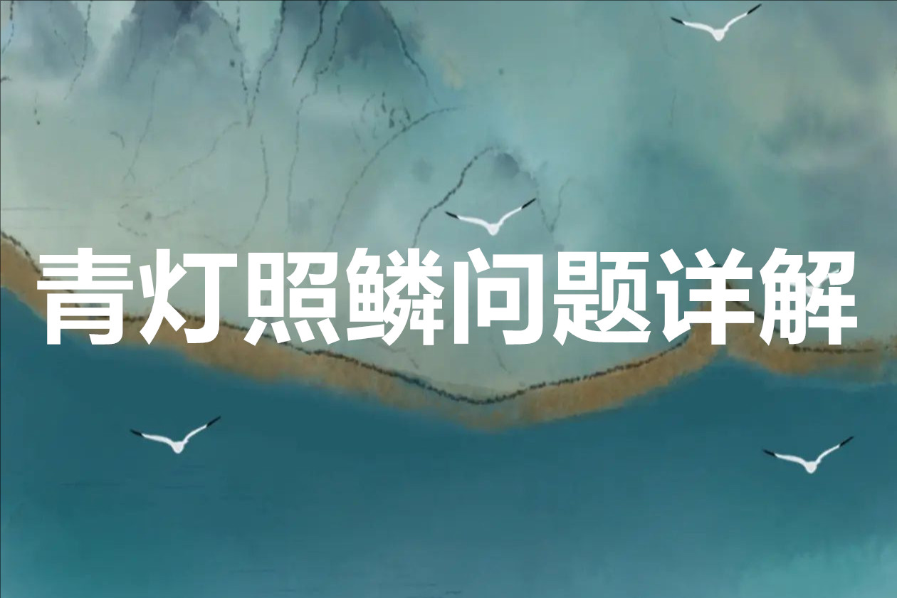 青灯照鳞问题详解