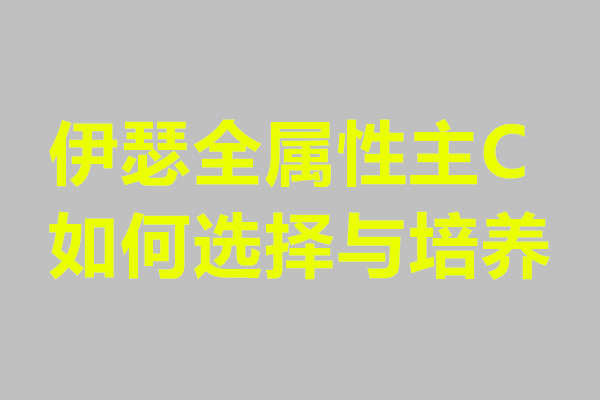 伊瑟全属性主C如何选择与培养