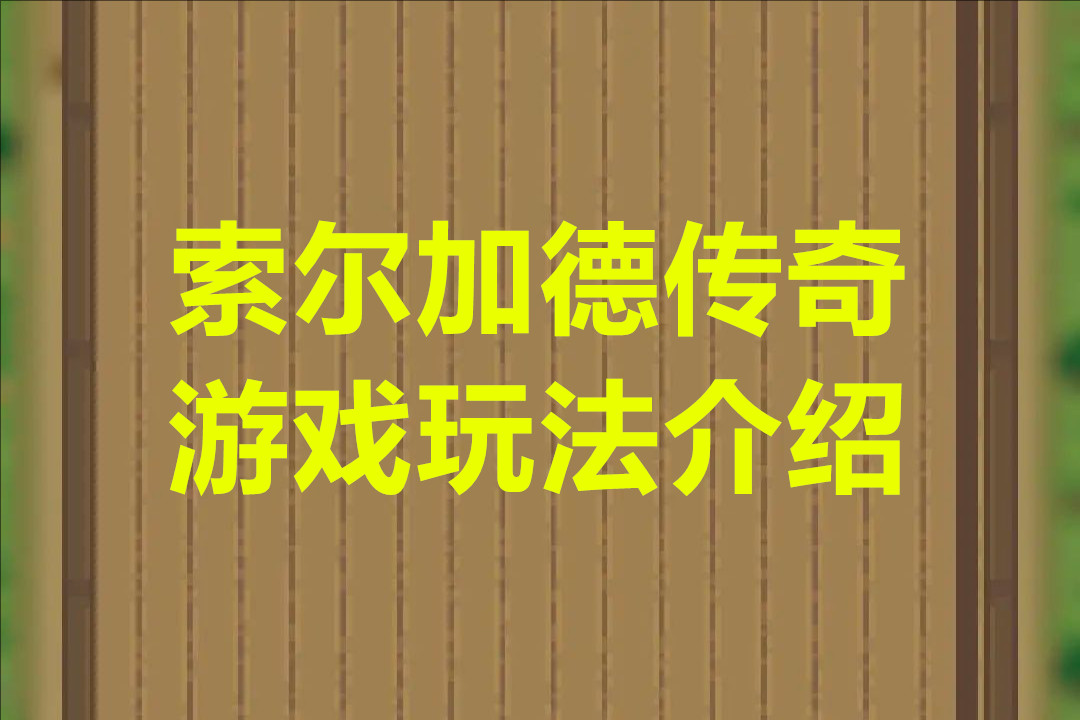 索尔加德传奇游戏玩法介绍