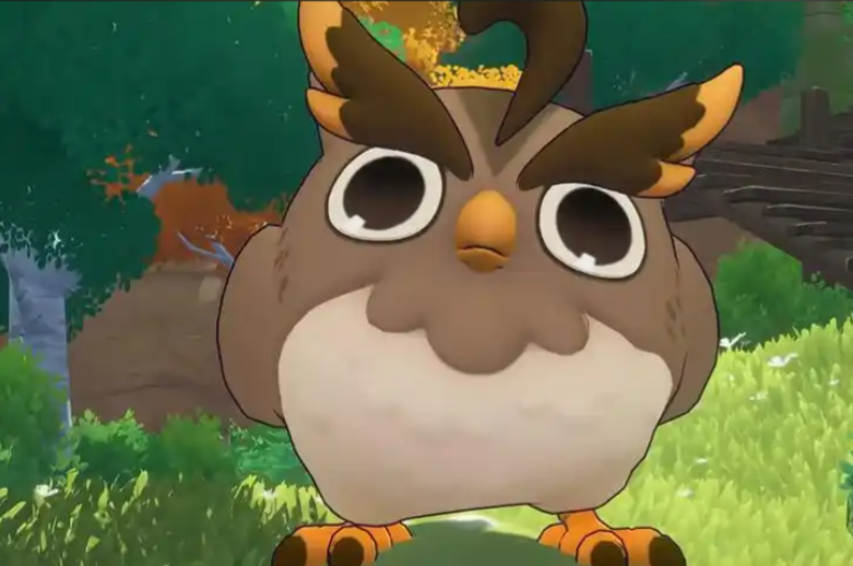 洛克王国世界月卡怎么选-洛克王国世界月卡选择推荐