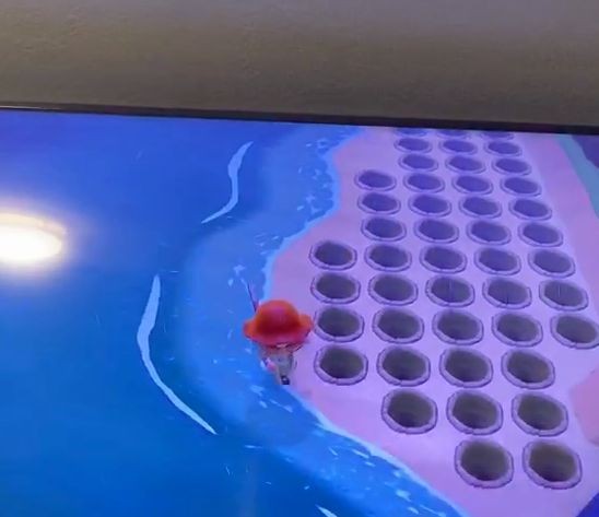 动物森友会刷鲟鱼方法-动物森友会快速刷鲟鱼技巧