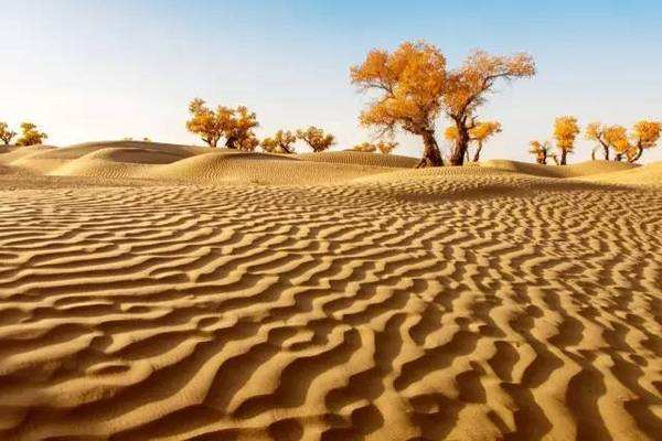 被称为死亡之海的沙漠是哪个 被称为死亡之海的沙漠是哪个