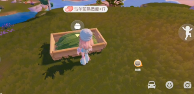 心动小镇动物食槽在什么位置-心动小镇动物食槽位置一览