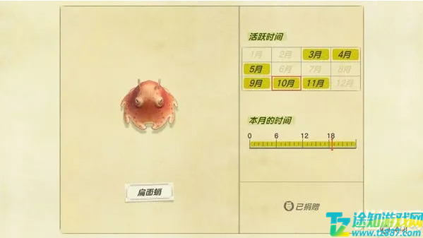 动物之森11月新增海洋生物一览 动物之森11月新增海洋生物一览