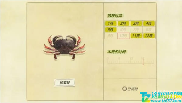 动物之森11月新增海洋生物一览 动物之森11月新增海洋生物一览