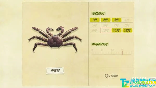 动物之森11月新增海洋生物一览 动物之森11月新增海洋生物一览