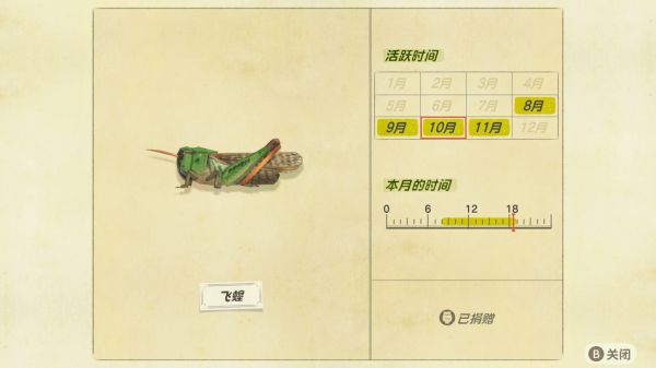 动森11月北半球消失全虫鱼汇总 动森11月北半球消失全虫鱼汇总