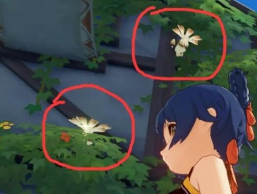 原神慕风蘑菇多久刷新一次-原神慕风蘑菇刷新时间地点