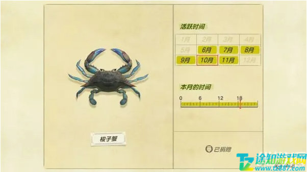 动物之森11月新增海洋生物一览 动物之森11月新增海洋生物一览