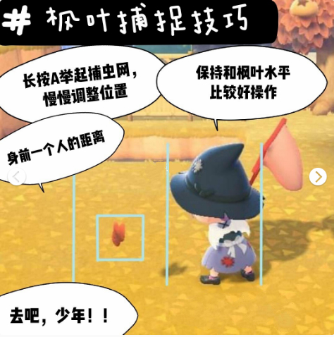 动物森友会枫叶怎么抓简单-动森枫叶收集作用攻略