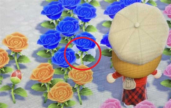 动森堆雪人雪球碎了怎么办 动森堆雪人雪球碎了怎么办