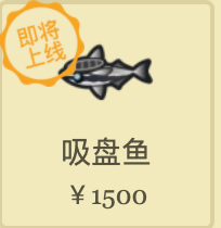 动物之森12月全虫鱼图鉴大全