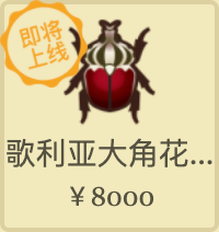 动物之森12月全虫鱼图鉴大全 动物之森12月全虫鱼图鉴大全