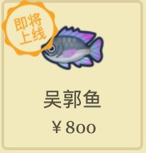 动物之森12月全虫鱼图鉴大全