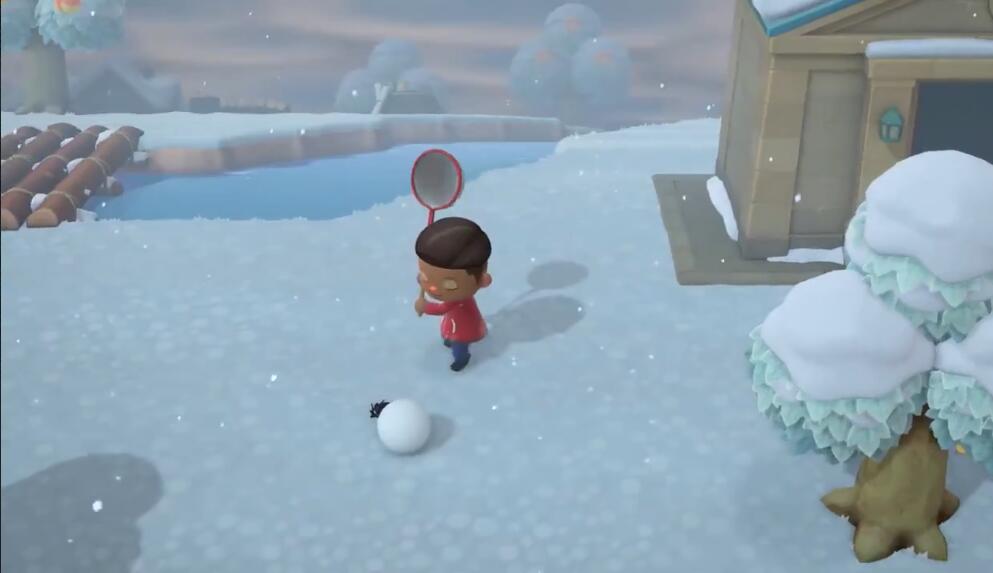 动森雪球上的虫怎么抓 动森雪球上的虫怎么抓