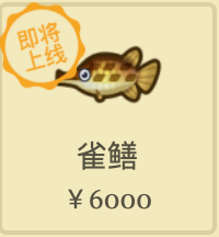 动物之森12月全虫鱼图鉴大全