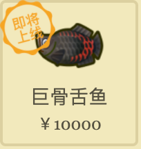 动物之森12月全虫鱼图鉴大全