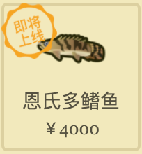 动物之森12月全虫鱼图鉴大全