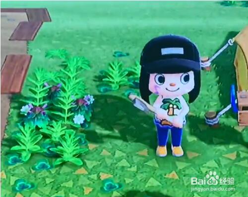 动森圣诞雪橇怎么获得 动森圣诞雪橇怎么获得