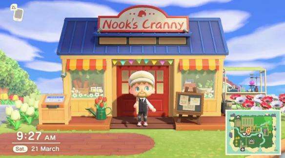 动森针叶树苗哪里买