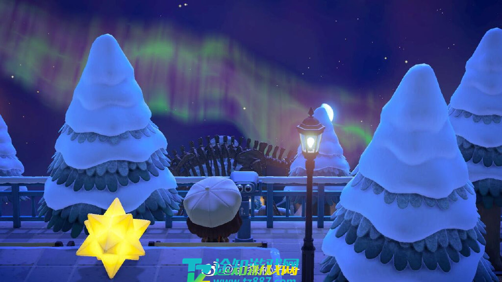 动物森友会极光能得到什么-动森极光天气有什么用用处介绍