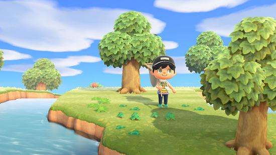 动物森友会蜣螂可以去南半球抓吗