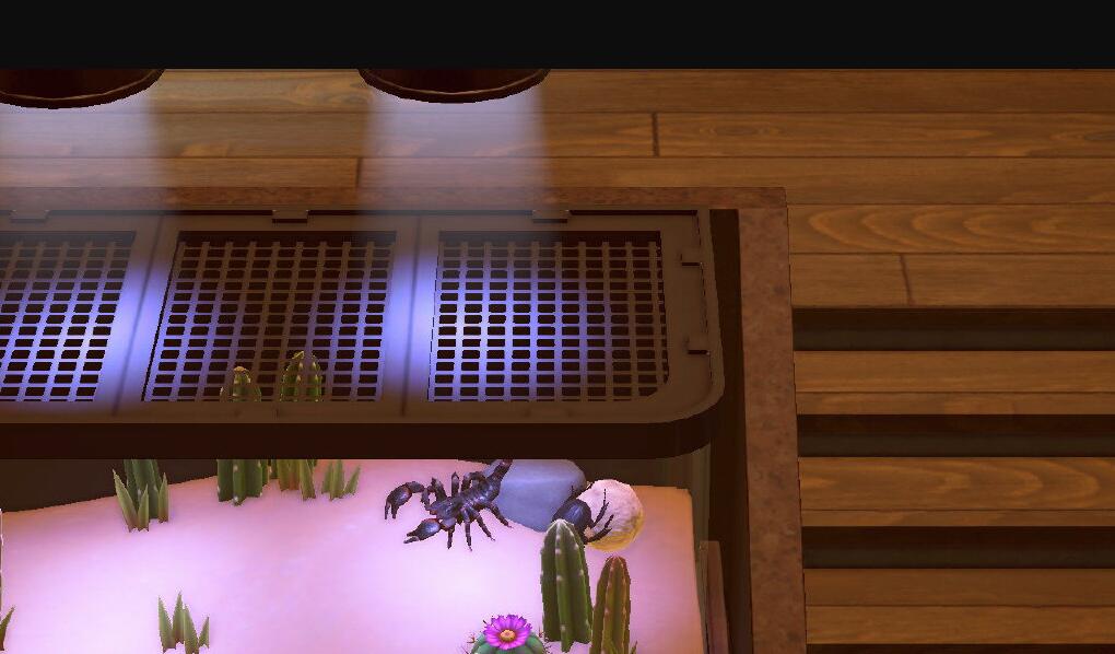 动森蜣螂在博物馆哪里-动物森友会蜣螂博物馆位置介绍