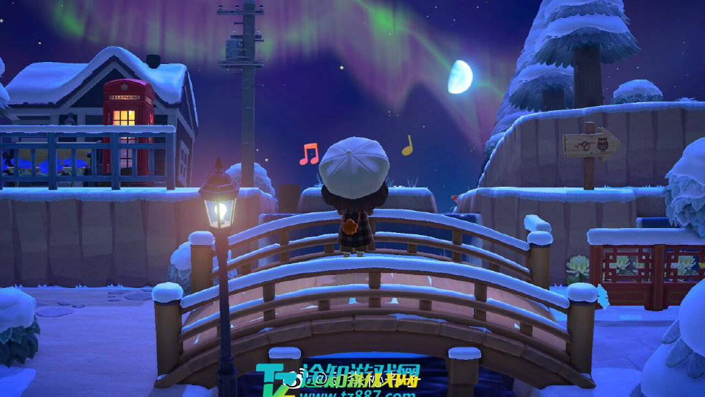 动物森友会极光能得到什么